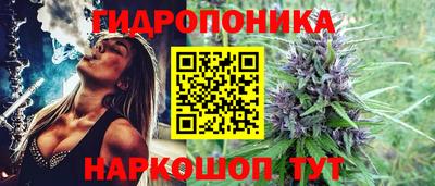a pvp Донской