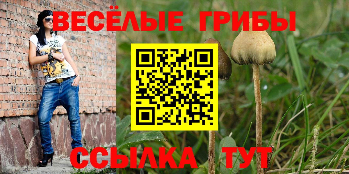 Галлюциногенные грибы Magic Shrooms  Вход с VPN  где купить наркотик  Ишим 