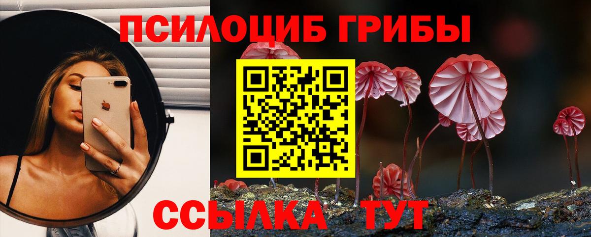 Галлюциногенные грибы Cubensis Ишим