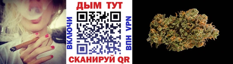 Бошки марихуана индика где найти Ишим